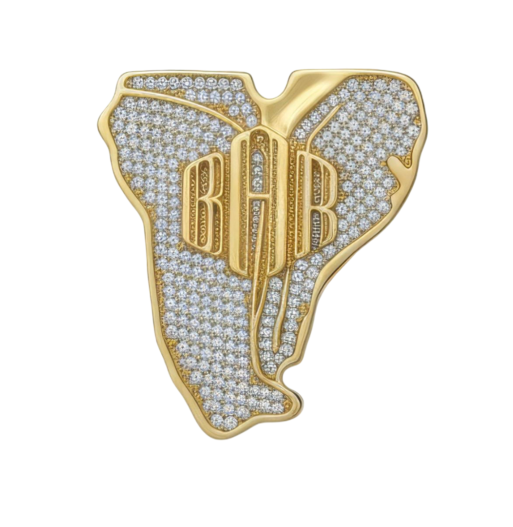 Born & Raised Pin