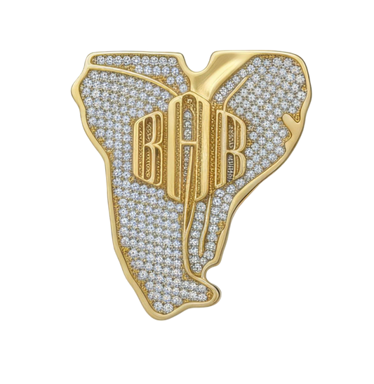 Born & Raised Pin