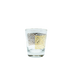 Noble Experiment Glass
