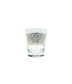 Noble Experiment Glass